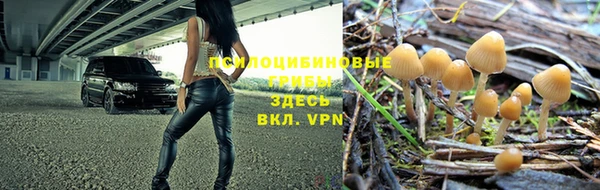 МДПВ Верея
