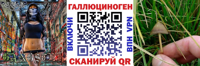 Галлюциногенные грибы Magic Shrooms Тырныауз